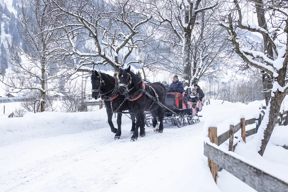 Pferdeschlittenfahrt durch die Winterlandschaft Rauris
